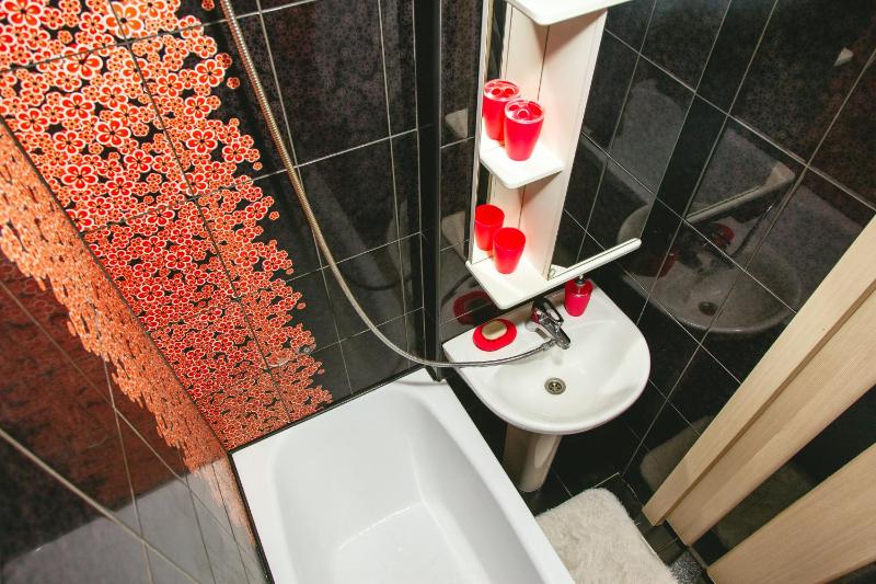 One-Bedroom Apartment image 3