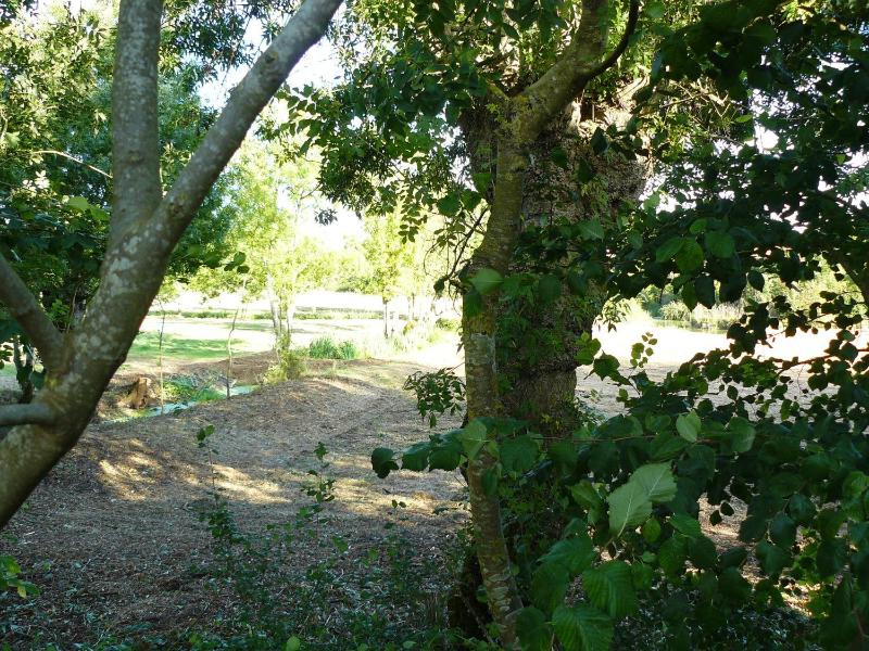 Holiday Home image 4