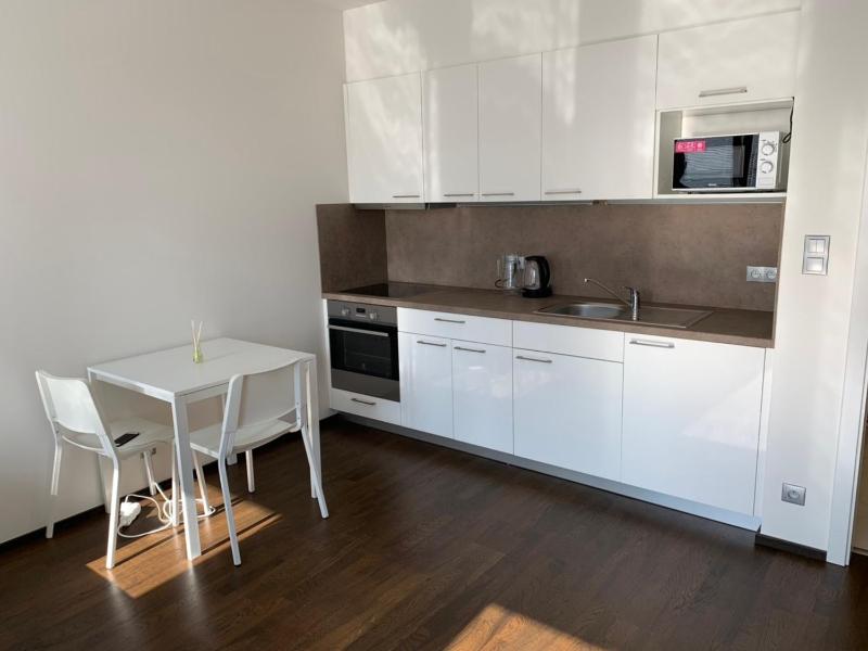 Studio Apartment image 4