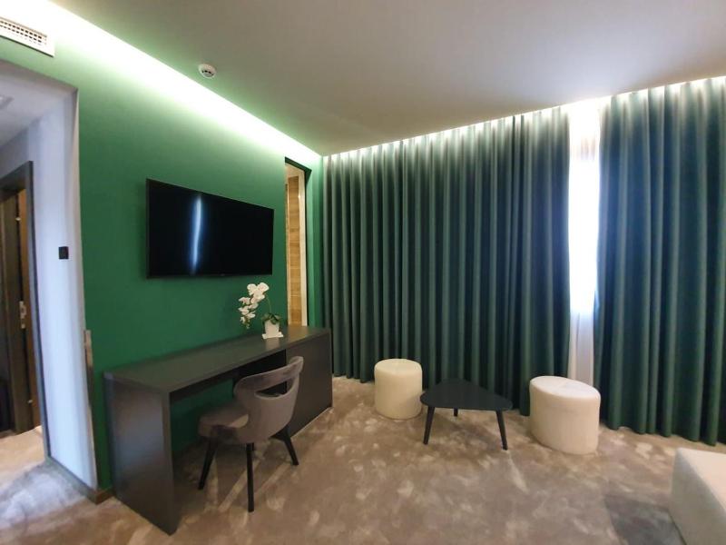 Deluxe Suite image 2