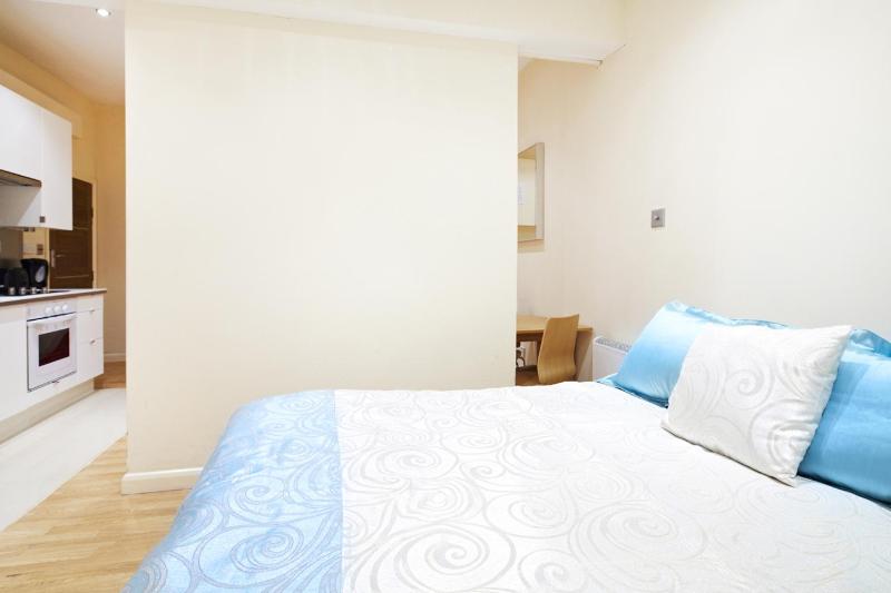 One-Bedroom Apartment image 3