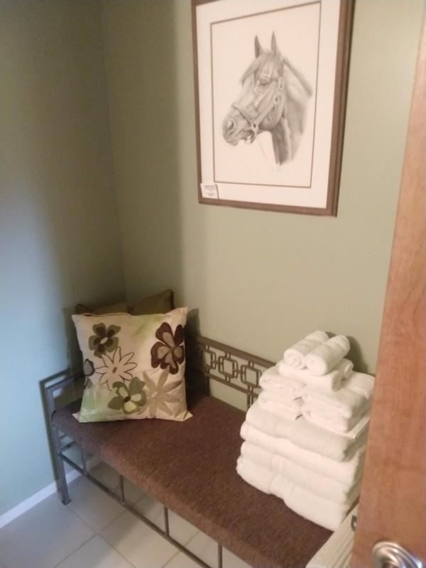 Deluxe Queen Suite image 2