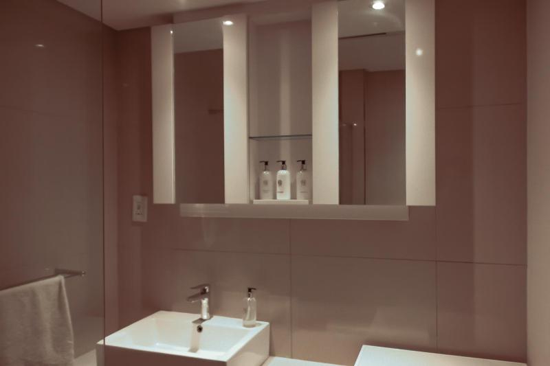 iTowers Studio Suite - image 7