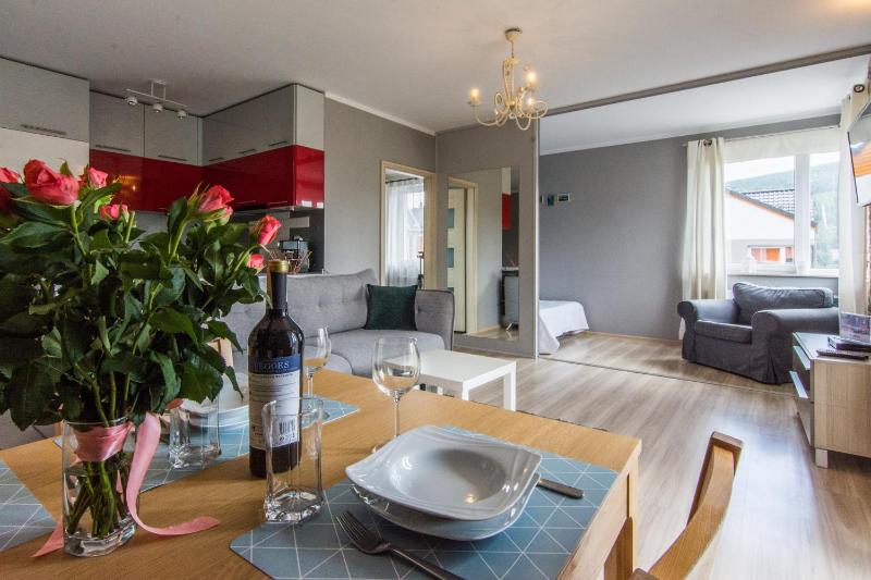 One-Bedroom Apartment (Izerska widokówka) image 1