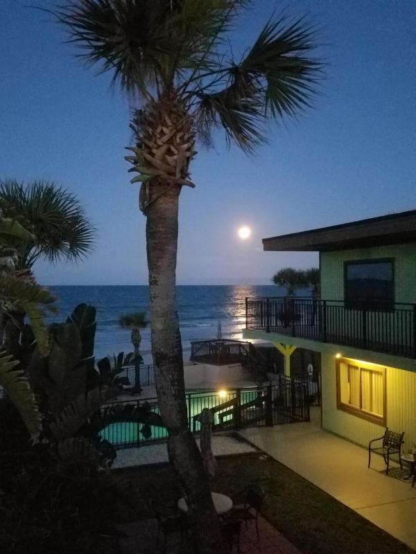 Organic Beach Retreat - image 50