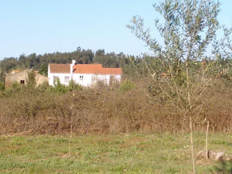 Three-Bedroom House image 2