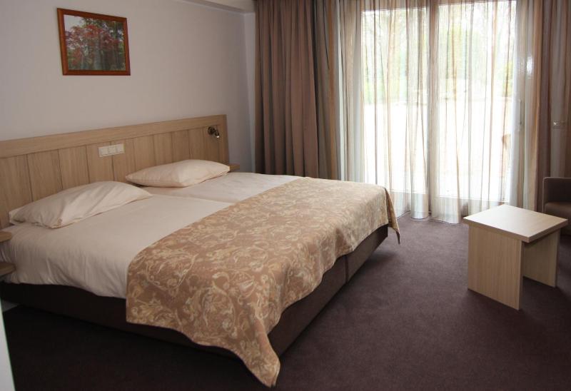 Deluxe Twin Room image 3
