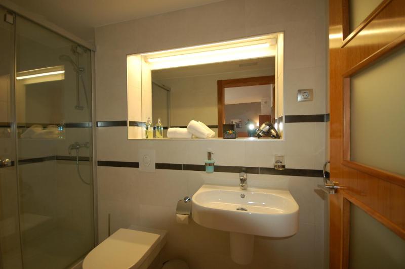 One-Bedroom Apartment with Terrace image 2