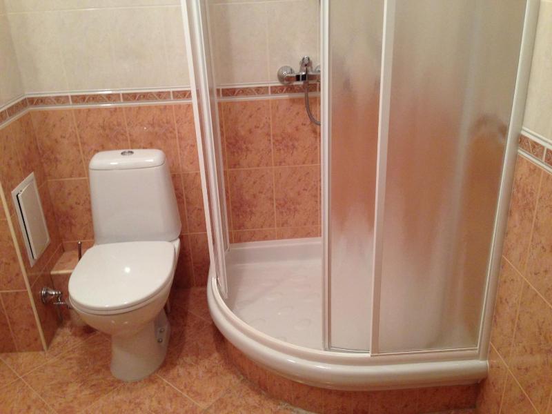 One-Bedroom Apartment image 2