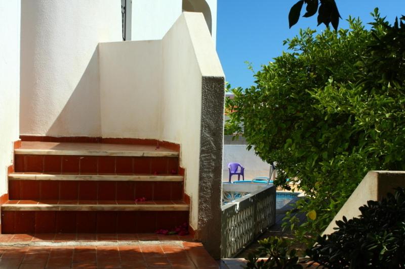 Villa Alves - image 9