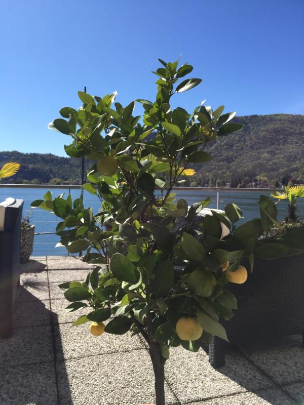 Tresa Bay Hotel - Lake Lugano - image 11