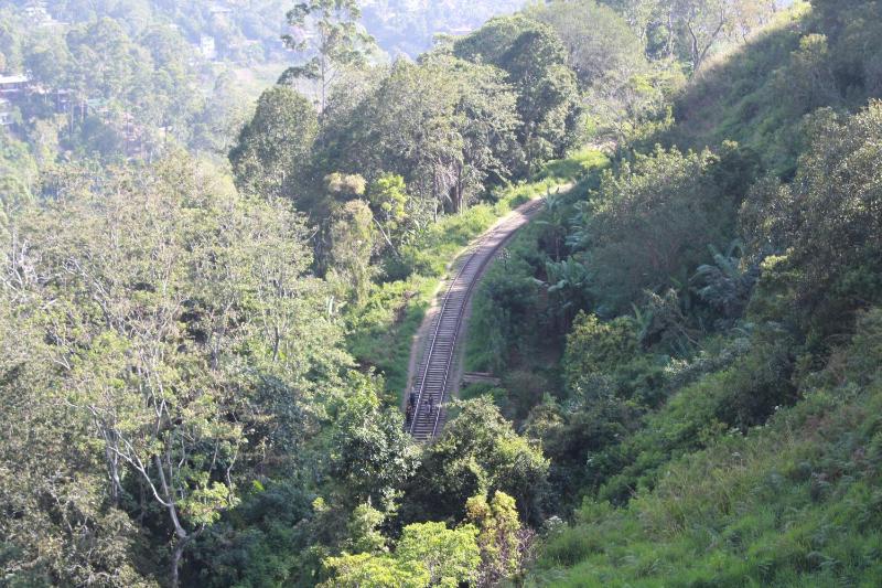 ELLA FREEDOM STAR COTTAGE - image 14