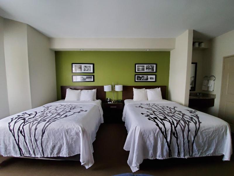 Standard Queen Room with Two Queen Beds - Non-Smoking image 3