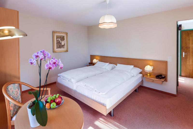 Standard Double Room image 2