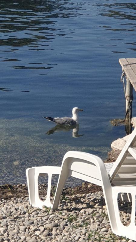 One-Bedroom Apartment image 4