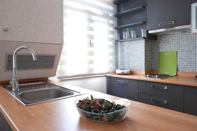 Ground-Floor Duplex Apartment image 4