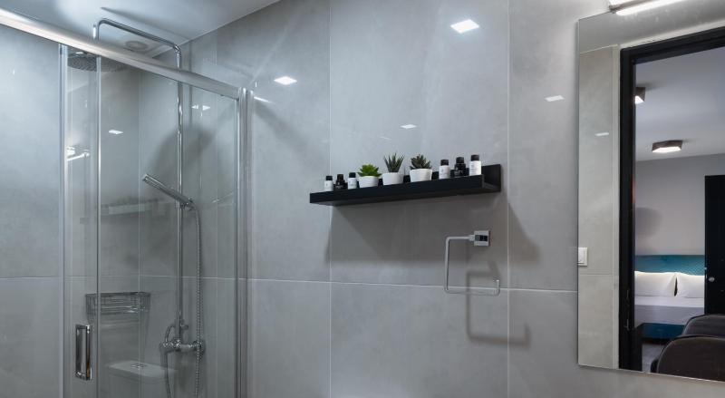 Standard Apartment image 4