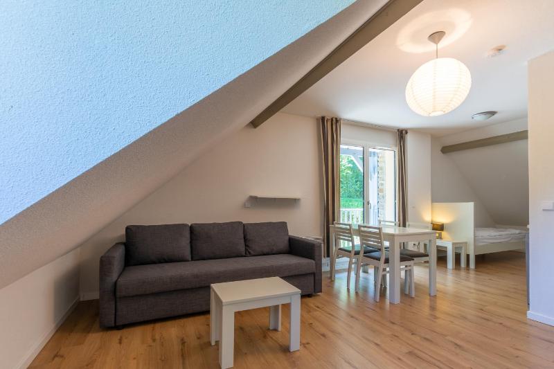 Superior One-Bedroom Apartment image 2