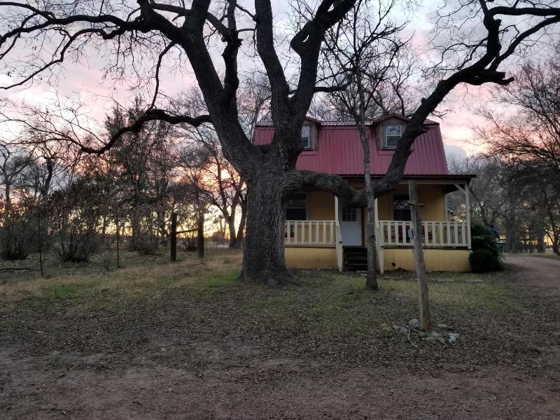 Olive Cabin - image 32