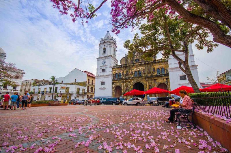 Amazing SUITE in Casco Antiguo - image 5