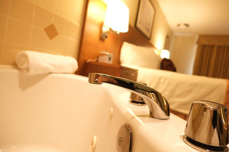 Rosslyn Inn & Suites - image 5