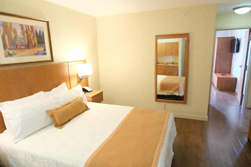 Rosslyn Inn & Suites - image 10
