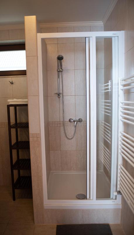 One-Bedroom Apartment image 2