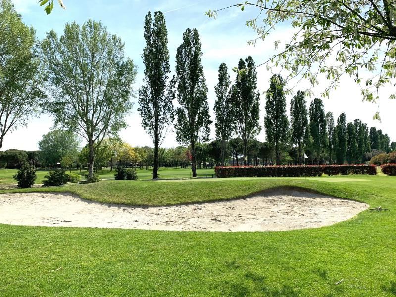 Villa Greif Pineta Apartment - image 2