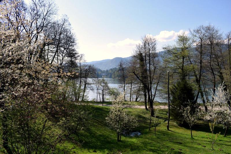 Double Room with Lake View image 2