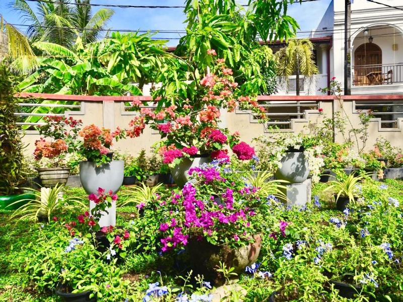 Dolphin Villa - image 35