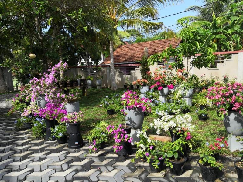 Dolphin Villa - image 28