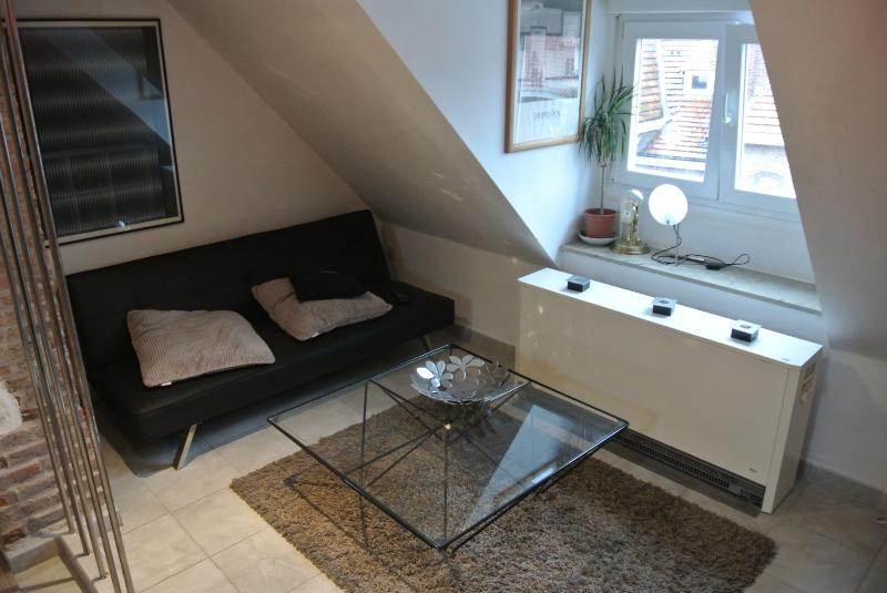 Standard Studio with Shower image 4