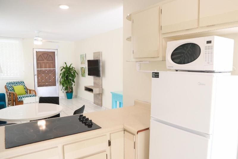 Two-Bedroom Apartment image 3
