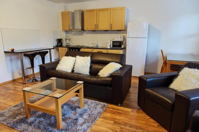 One-Bedroom Apartment image 3