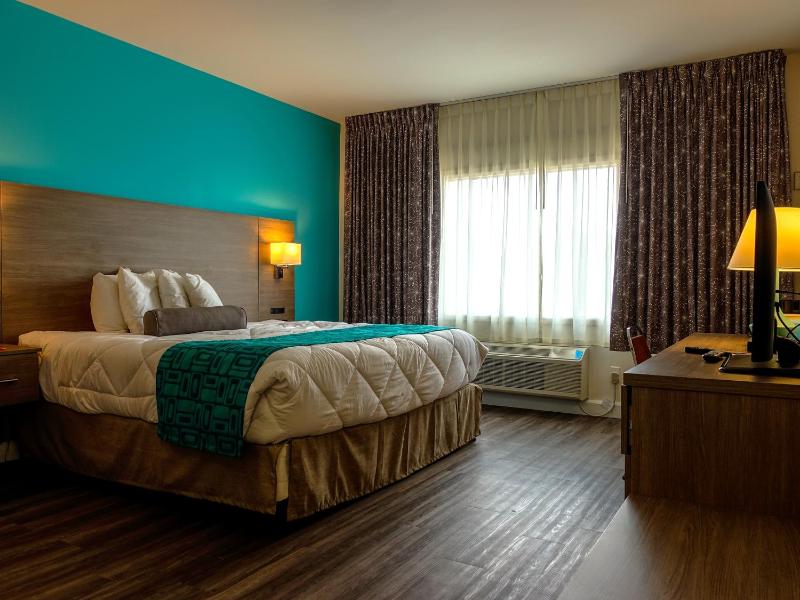 King Room - Non-Smoking