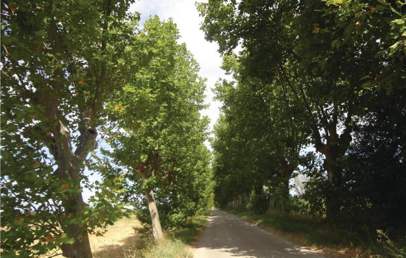 Pet Friendly Home In Narbonne With Sauna - image 22