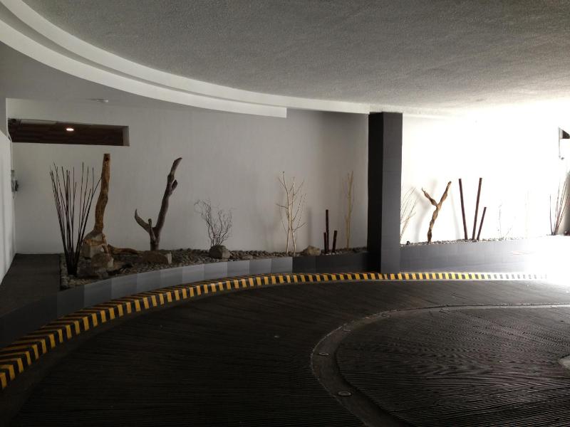 Hotel Amazonas - image 8