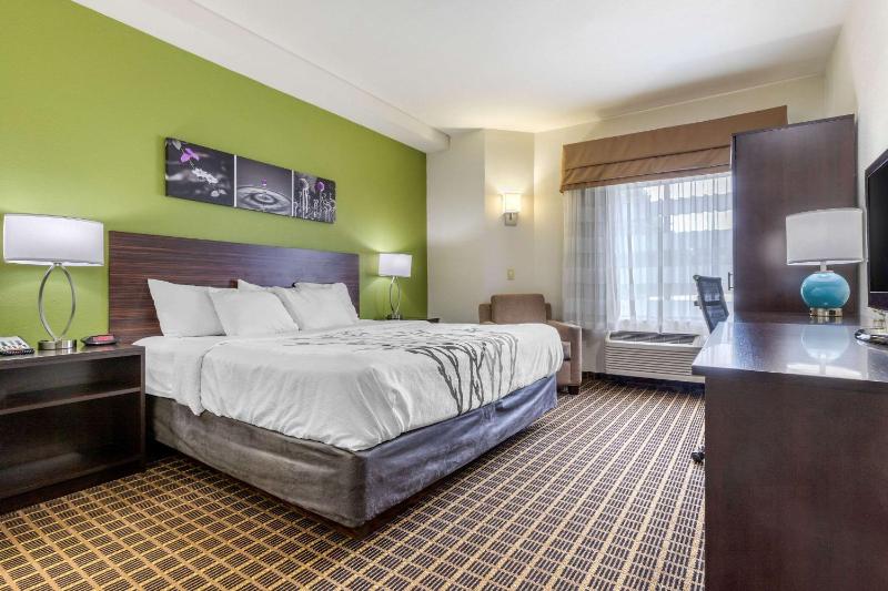 King Room - Non-Smoking image 3