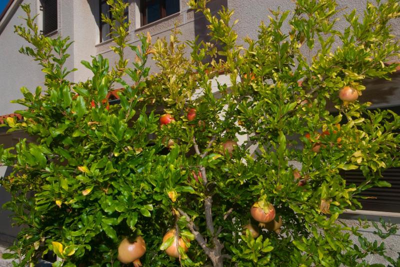 Apartments Anci - image 28