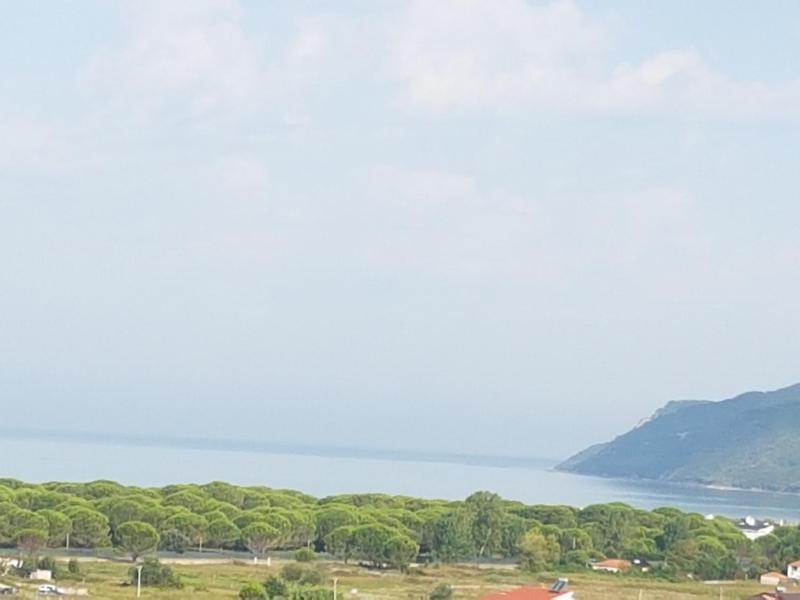 Villa Luiss Panorama - image 16