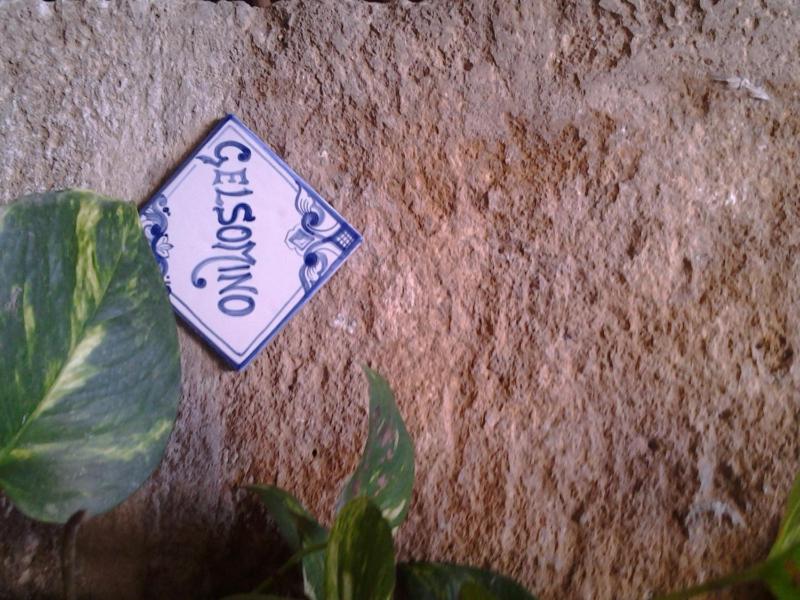 Il Cortile Fiorito - image 4