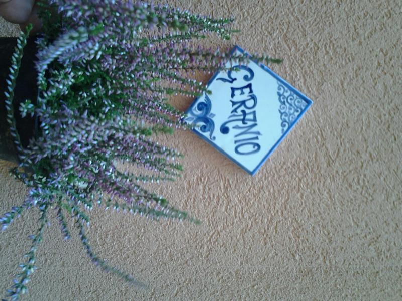 Il Cortile Fiorito - image 10