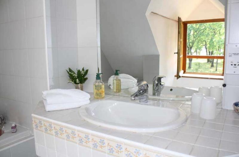 One-Bedroom Suite image 4