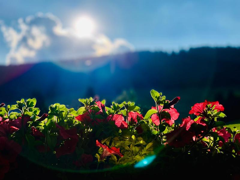 Two-Bedroom Apartment image 4