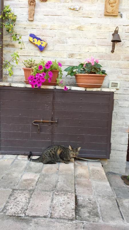 B&B La Casuccia Di Assisi - image 19