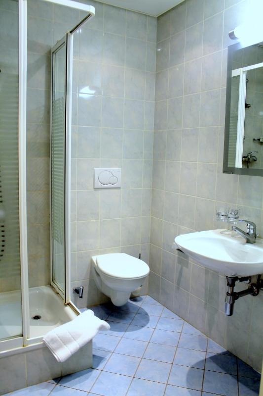 Triple Room with Private Bathroom and Park view image 4