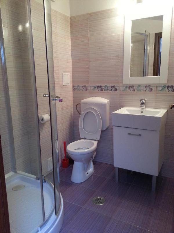 Attic One-Bedroom Apartment image 3