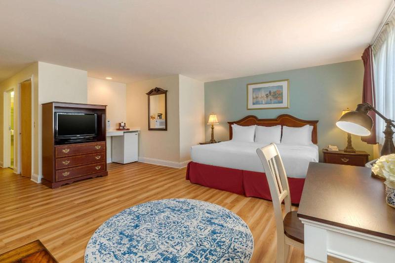 King Room - Disability Access image 3
