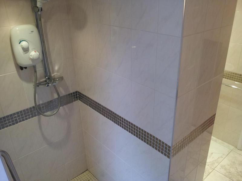 Carlton Court - image 31