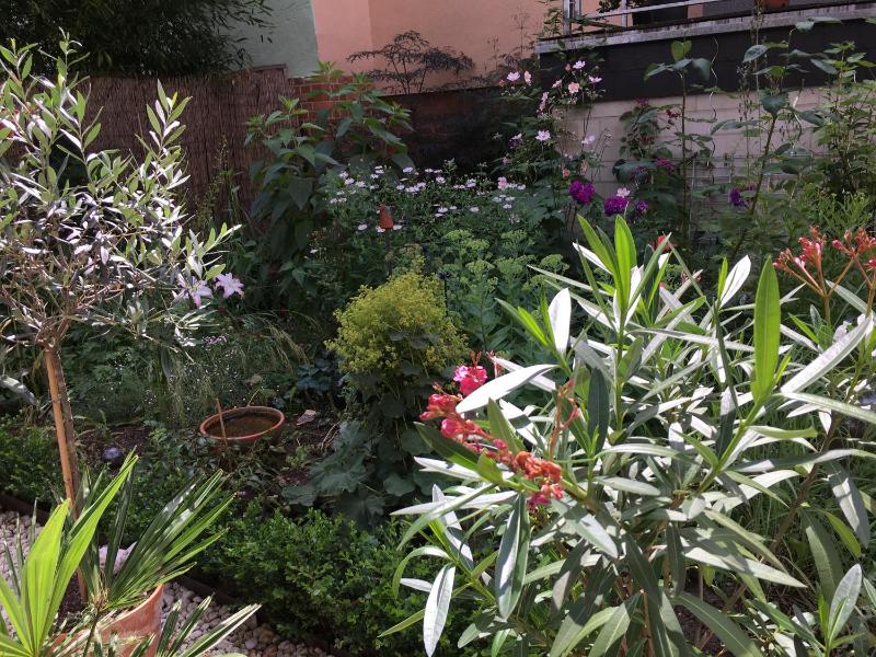 Apartment with Terrace image 2